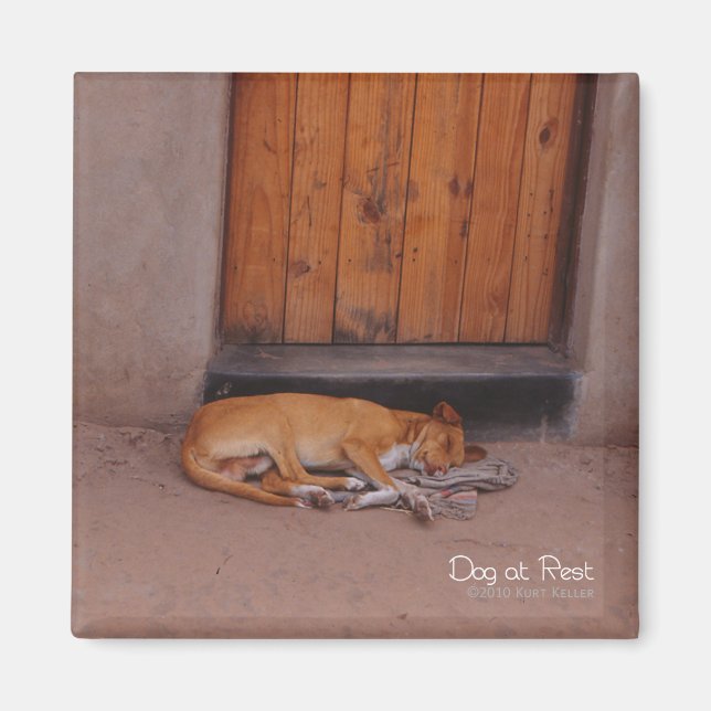 Íman Cachorro no Magnet da Praça de Repouso (Frente)