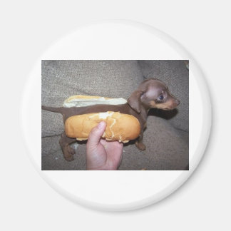 Íman Cachorro num bastão