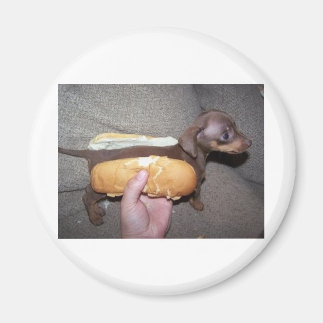 Íman Cachorro num bastão (Frente)