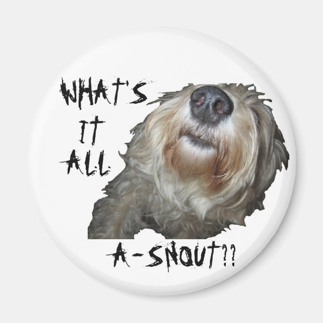 Íman Cachorro "O QUE É TUDO UM NEVE?" Ímã (Frente)