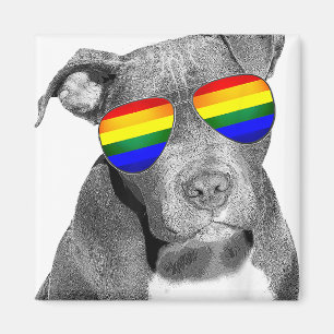 Íman Cachorro-Orgulho gay Pitbull Vestir Gift Rai Gift