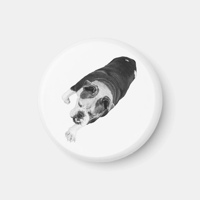Íman Cachorro Passo à Frente Adiciona Momentum a Espaço (Frente)