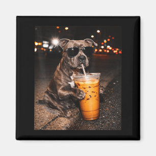 Íman Cachorro Pitbull bebendo café gelado com óculos de