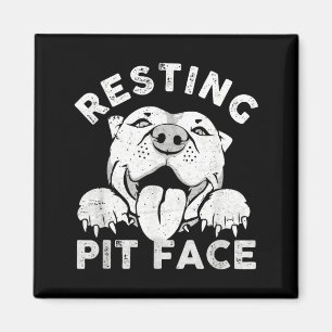 Íman Cachorro Pitbull Descansando Cara de Pit Sarcasmo 