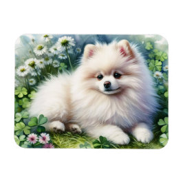 Íman Cachorro Pomerano Branco Flexível De Aquarela De C
