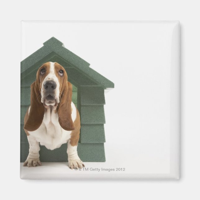 Íman Cachorro por doghouse (Frente)