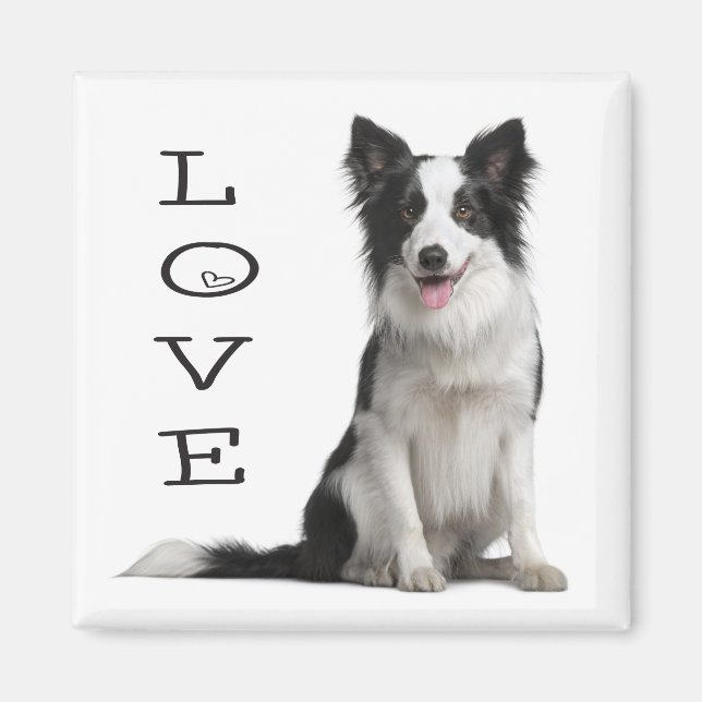 Íman Cachorro Preto e Branco Border Collie Amor (Frente)