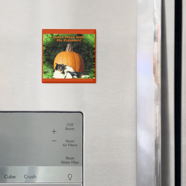 Íman Cachorro Protegendo Grande Magneta De Abóbora (In Situ (Fridge))