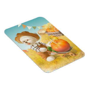 Íman Cachorro-quente com abóbora