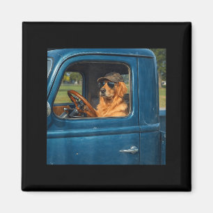 Íman Cachorro retriever dourado engraçado meme cão diri