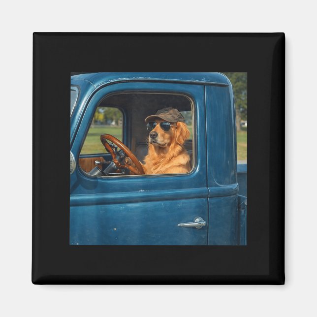 Íman Cachorro retriever dourado engraçado meme cão diri (Frente)