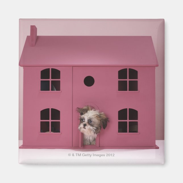 Íman Cachorro saindo da casa da boneca (Frente)