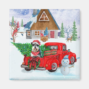 Íman Cachorro Schnauzer No Parto De Natal Neve De Camin