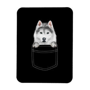 Íman Cachorro Siberiano Husky Em Bolso Presente Engra