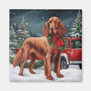 Íman Cachorro Vermelho Irlandês no Natal da Neve