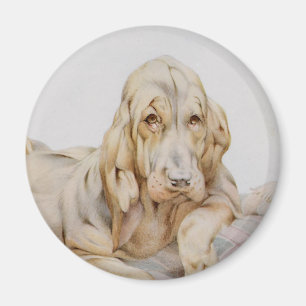 Íman Cachorros Cute Vintage, Filhotes de Cães por EJ De