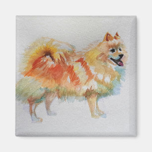 Íman Cachorros de Aquarela Alemães Spitz Pomeranianos