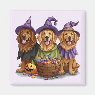 Íman Cachorros de bruxas de Ouro de Halloween
