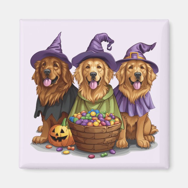 Íman Cachorros de bruxas de Ouro de Halloween (Frente)