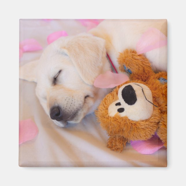 Íman Cachorros de pãozinho 02 (Frente)