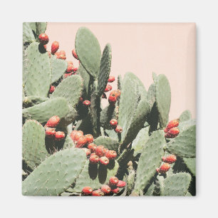 Íman Cacto da pera de Prickley