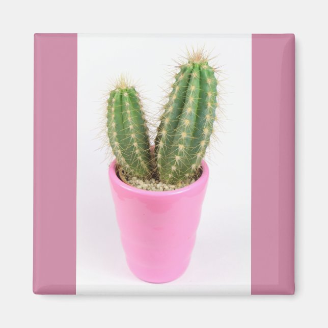 Íman Cacto de cereais em pote rosa (Frente)