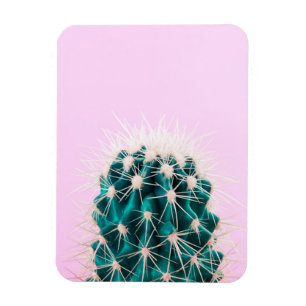 Íman Cacto de Prickley no rosa