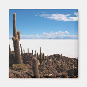 Íman Cacto gigante no ímã de Salar de Uyuni