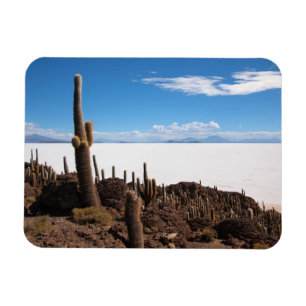 Íman Cacto no ímã retangular de Salar de Uyuni