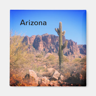 Íman Cacto solitário da arizona
