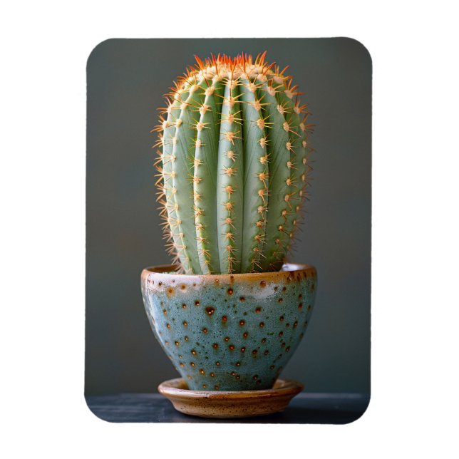 Íman Cacto Verde em Pote Teal Cerâmico Fotografia (Vertical)