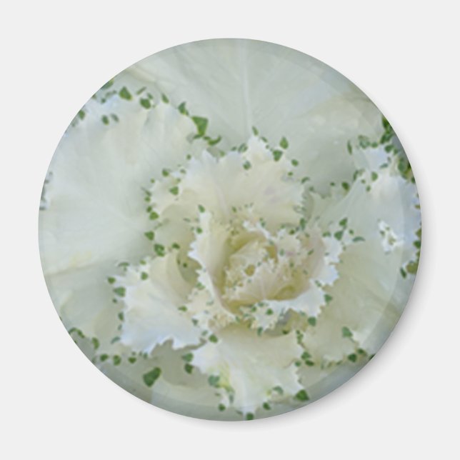 Íman Cactus (Frente)