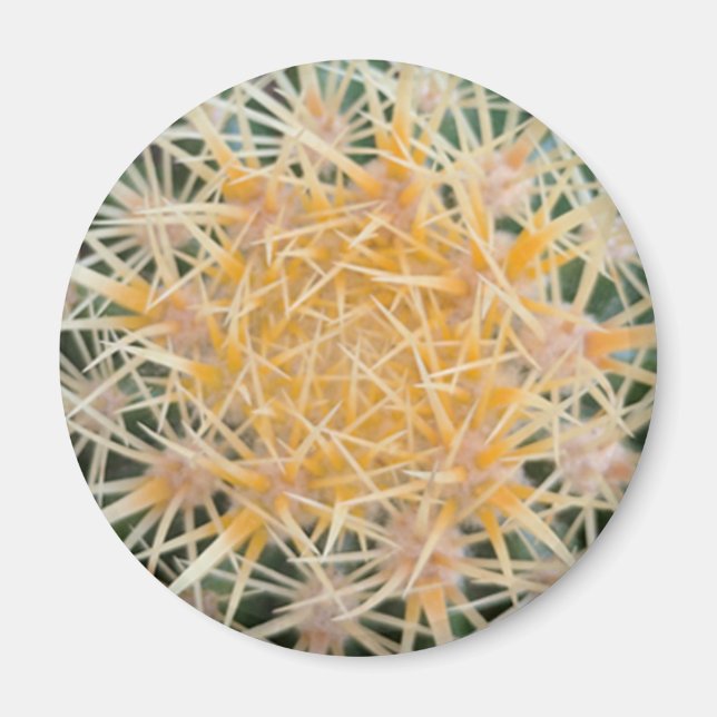 Íman Cactus (Frente)