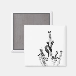 Íman Cactus Black White Photo Art, Diversão Única de Fl