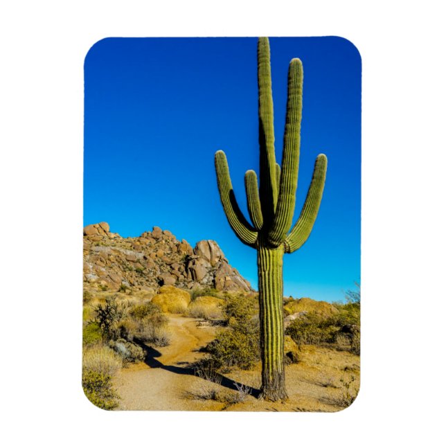 Íman Cactus em pé (Vertical)