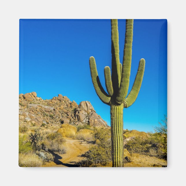 Íman Cactus em pé (Frente)
