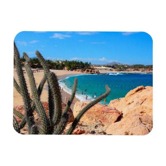 Íman Cactus Em Rocky Hilltop Sobre Sandy Beach (Horizontal)