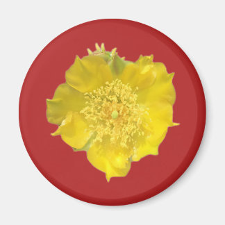 Íman Cactus Flower