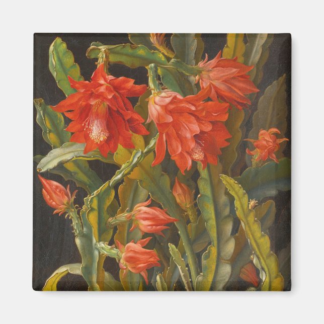 Íman Cactus Natal | Christian Möllback (Frente)