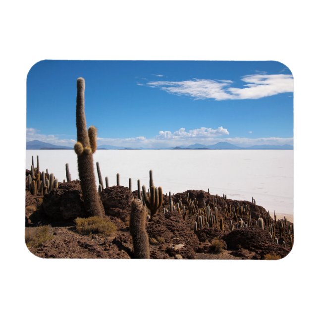 Íman Cactus no ímã retangular Salar de Uyuni (Horizontal)
