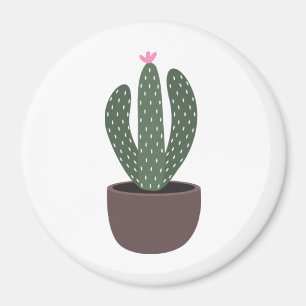 Íman Cactus no pote