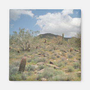 Íman Cactus Pastoral Decorative Refrigerator Magnet