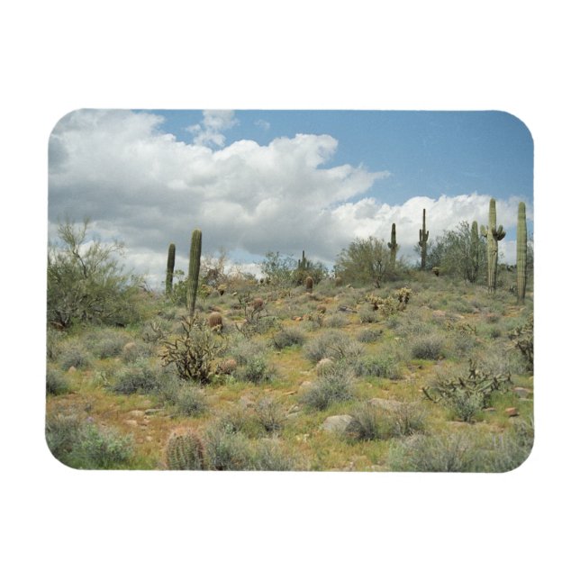 Íman Cactus Pastoral Decorative Western Photos Magnets (Horizontal)