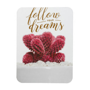 Íman Cactus Siga Seus Sonhos