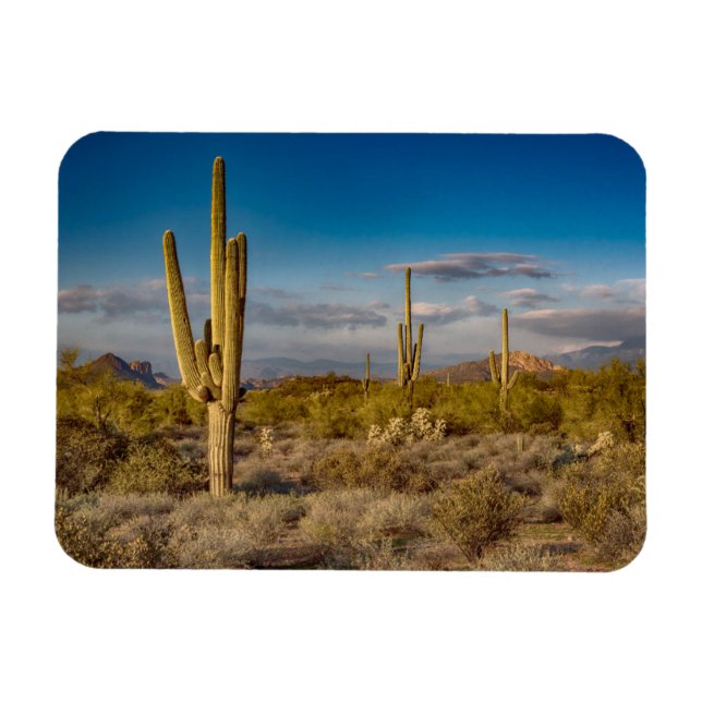 Íman Cactus Sunset na Arizona (Horizontal)