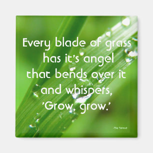 Íman Cada Lâmina de Grass Quote Magnet
