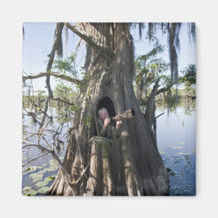 Íman Caddo Lake, cego à caça