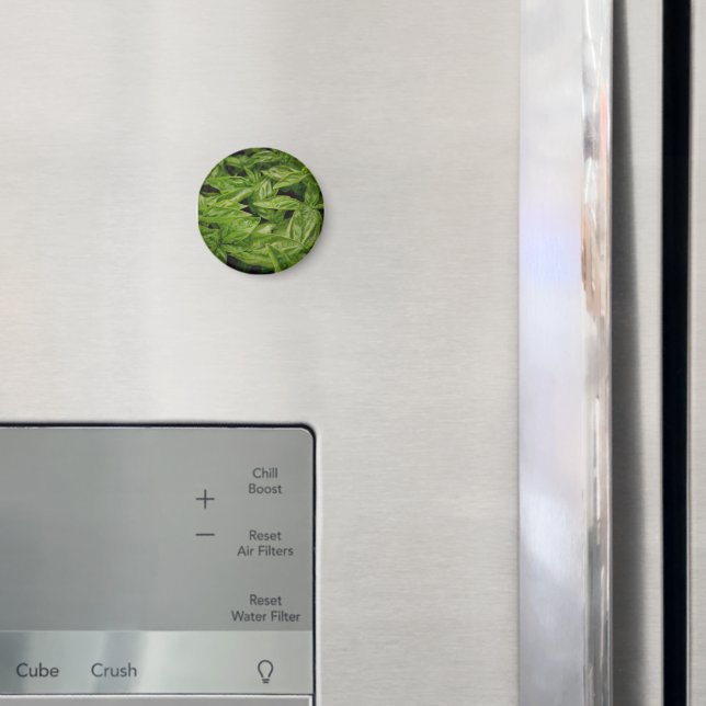 Íman Caderno de Manjericão (In Situ (Fridge))