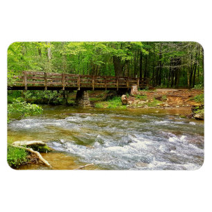 Íman Cades Cove Smokey Mounkey Flexible Magnet