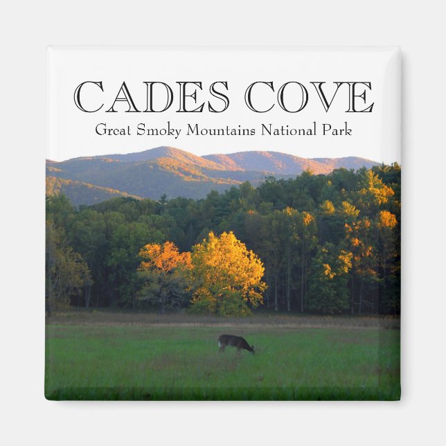 Íman Cades de animais selvagens do outono cobrem mtns d (Frente)
